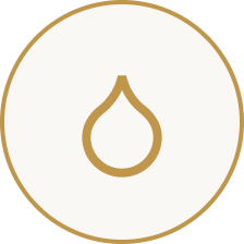 icon3