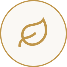 icon1