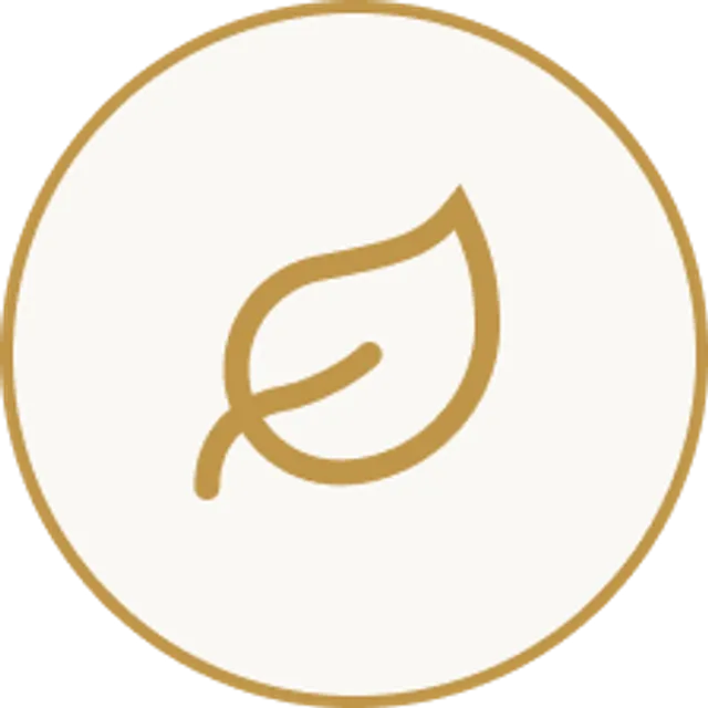 icon1